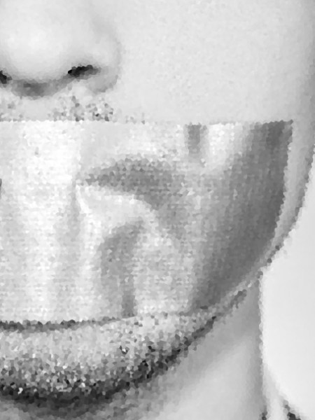 «en boca cerrada no entran&nbsp;moscas»