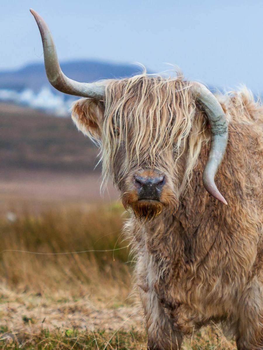 «el que no sabe es como el que no&nbsp;ve»