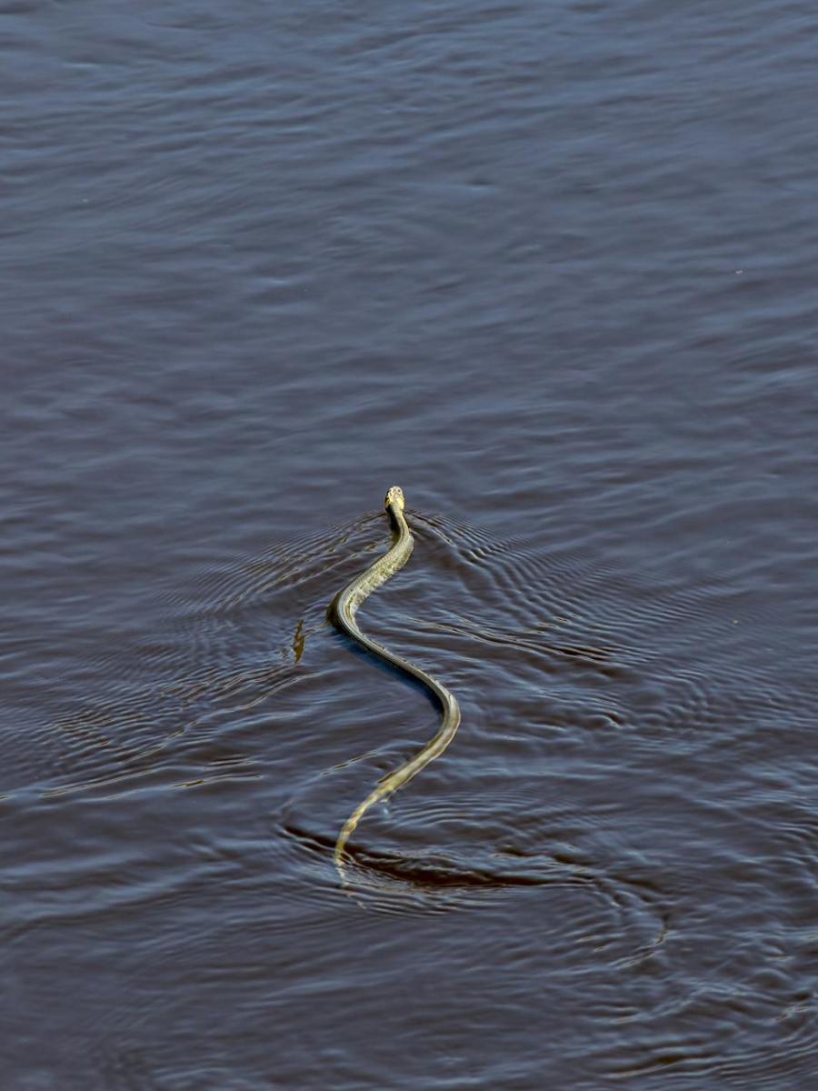 «mis muertos, tus&nbsp;muertos»
