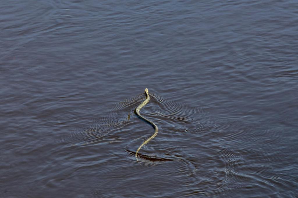 «mis muertos, tus&nbsp;muertos»